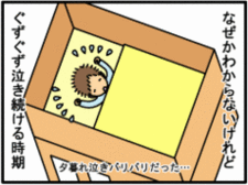 4コマ