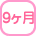 9ヶ月