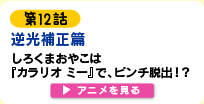 ��P�Q�b�@�t���␳ ��