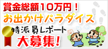 お出かけパラダイス