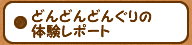 どんどんどんぐりの体感レポート
