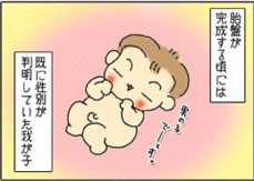 4コマ