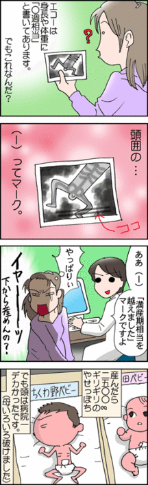 4コマ