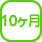 10ヶ月