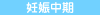 妊娠中期