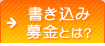 書き込み募金とは？