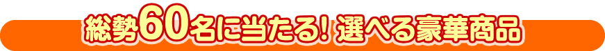 総勢60名に当たる！ 選べる豪華商品